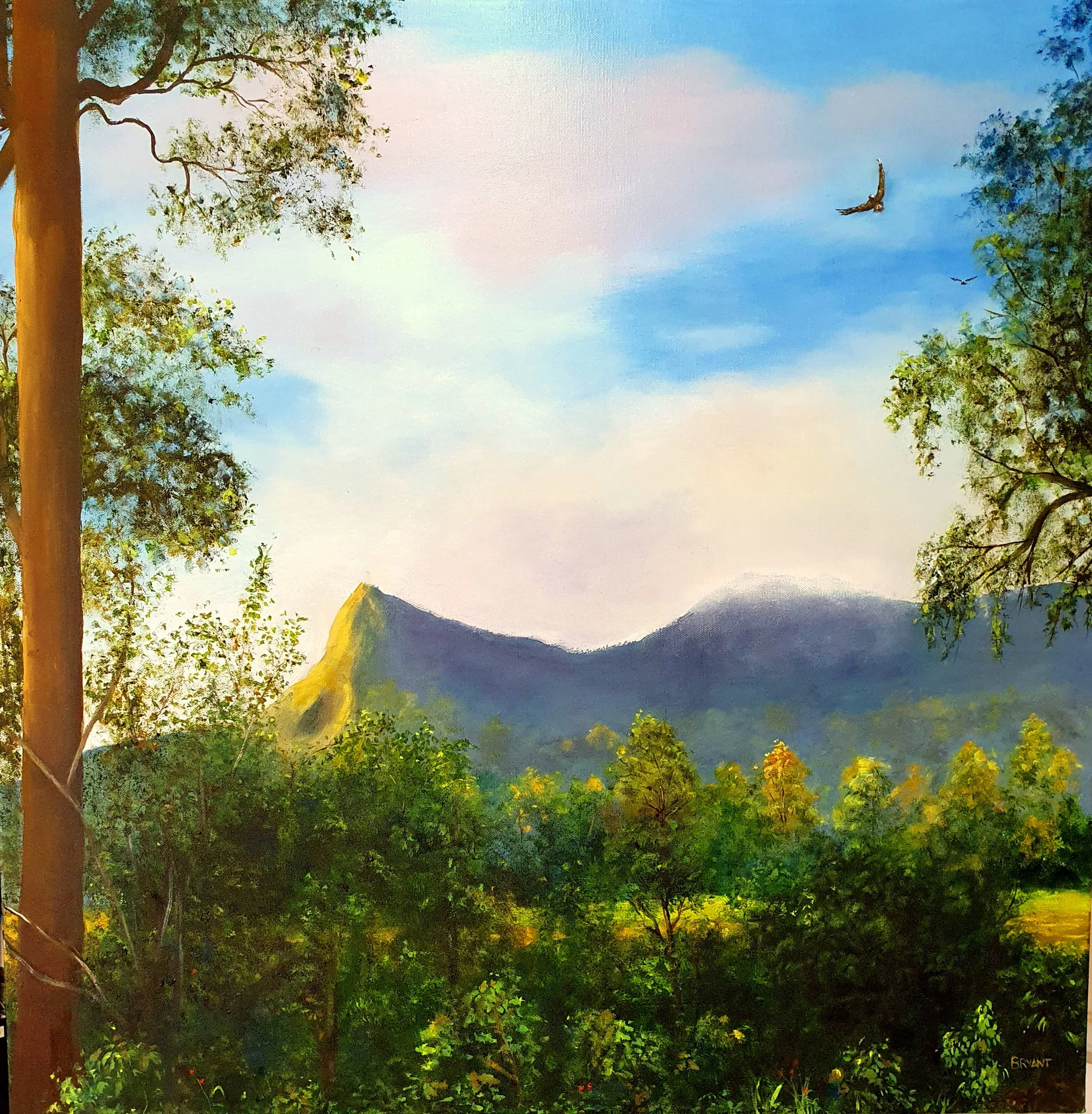 Soaring with Eagles - email.jpg