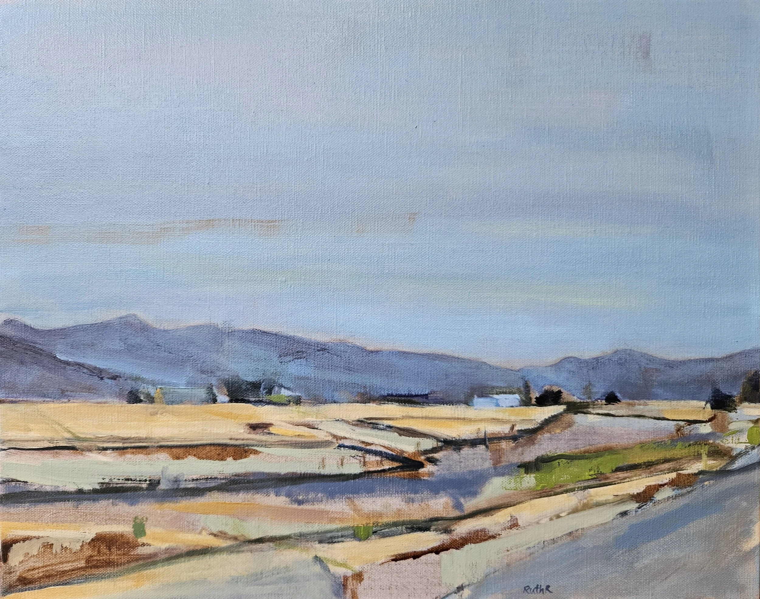 PIC 3 Ruth Rawle_Yellow paddock and blue mountains_2026_Oil on linen_42.5x 34x 4cm-1.jpg