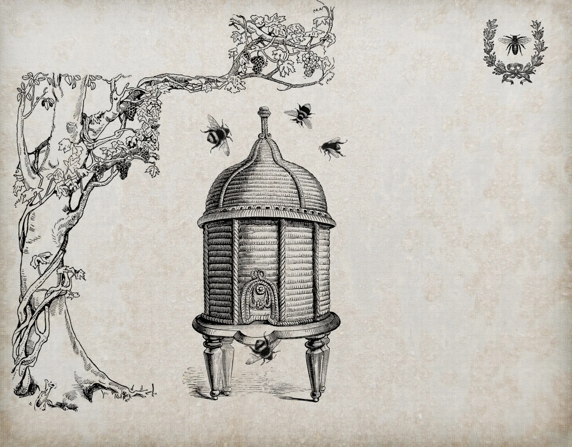 Tell the Bees