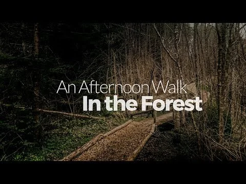 An Afternoon Walk video project cover