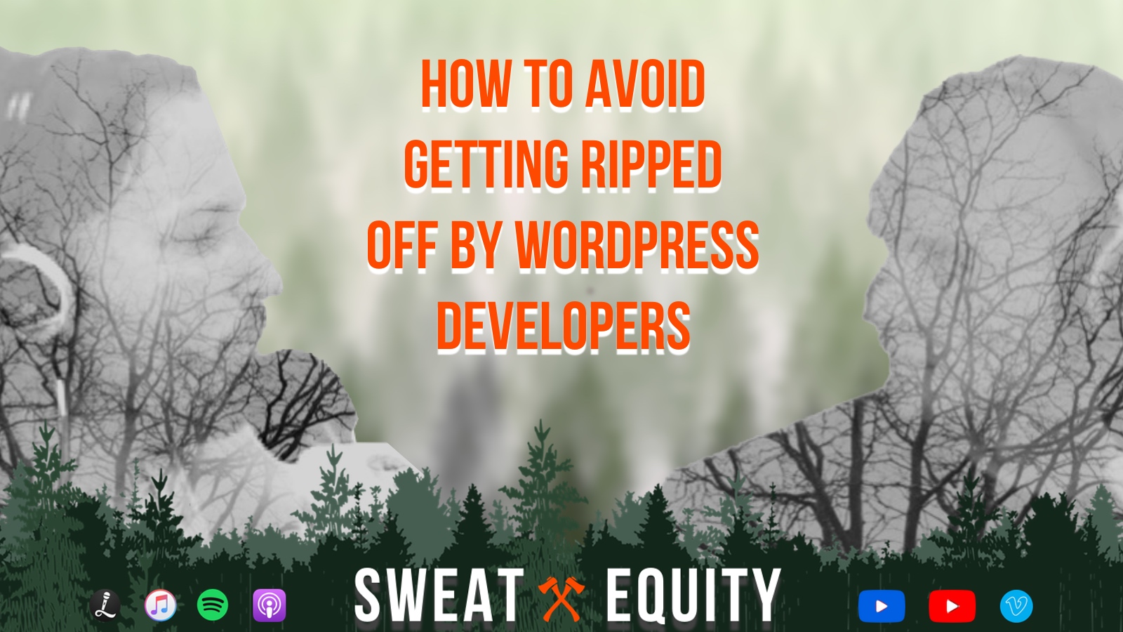 #118: How To Avoid Getting Ripped Off By Wordpress Developers