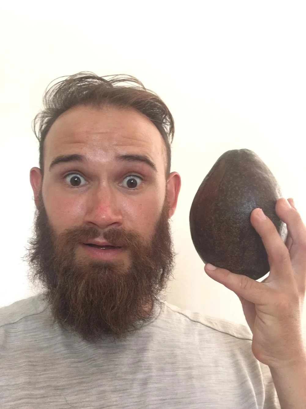 Did I mention the avocados are as big as Dan’s head (minus his beard).