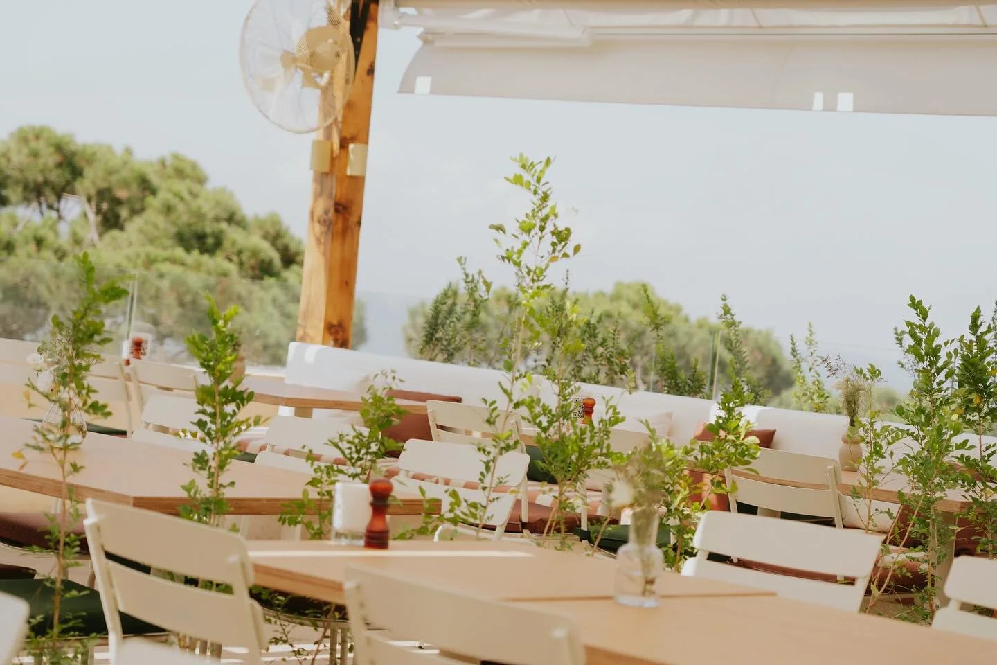 Summer at Qortoba 🍉

Book your table. Link in Bio