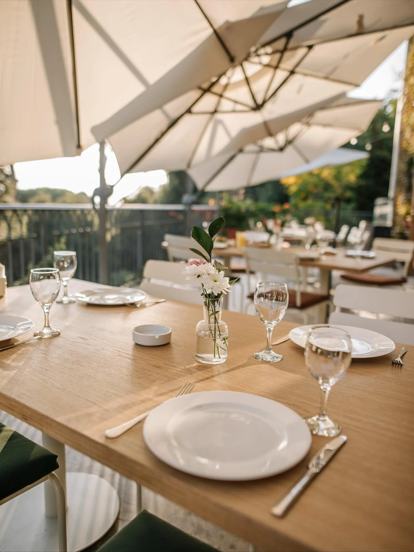 November is treating us well ☀️🍂