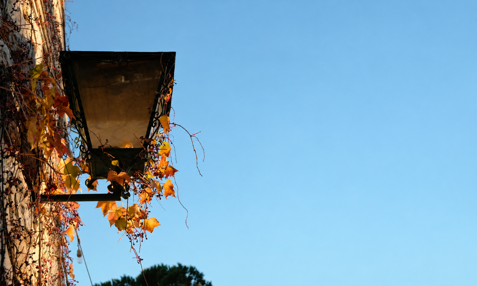 Seamless blue sky over autumn vines.png