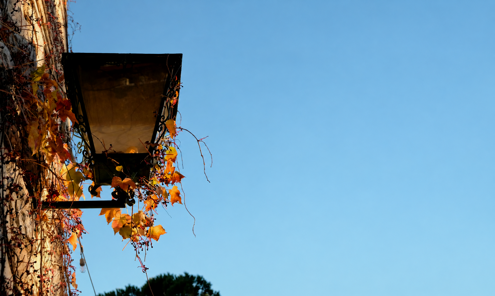 Seamless blue sky over autumn vines.png
