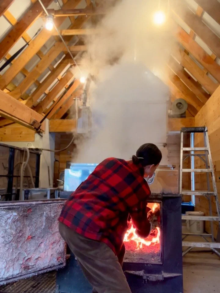 Sugarhouse Journal: Week 1

More snow. Four boils. The slow start that comes with early season.

The woods are still holding onto winter, but the sap has begun to move. This week brought cold mornings, a few long walks through the lines, and four ste