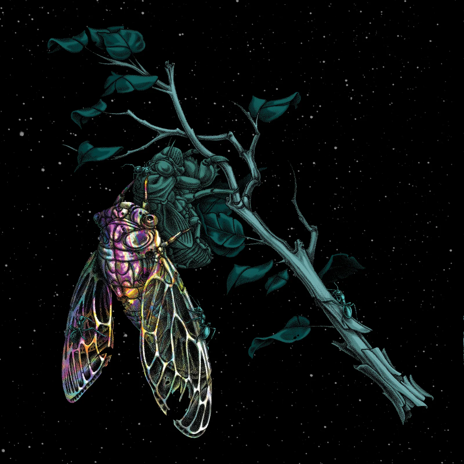 PETRICHOR - s/t