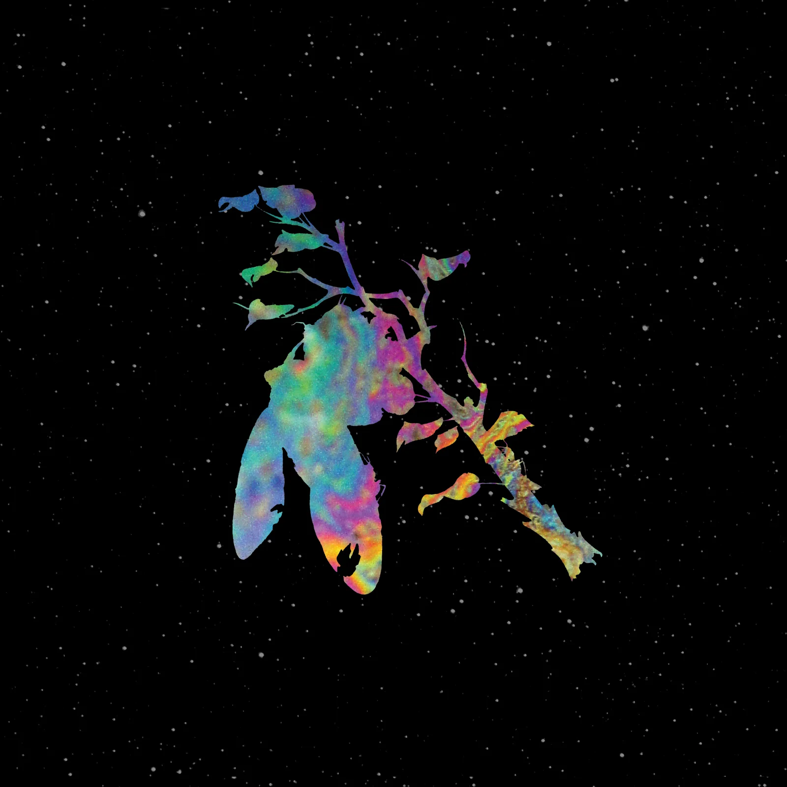PETRICHOR - s/t - inside 2