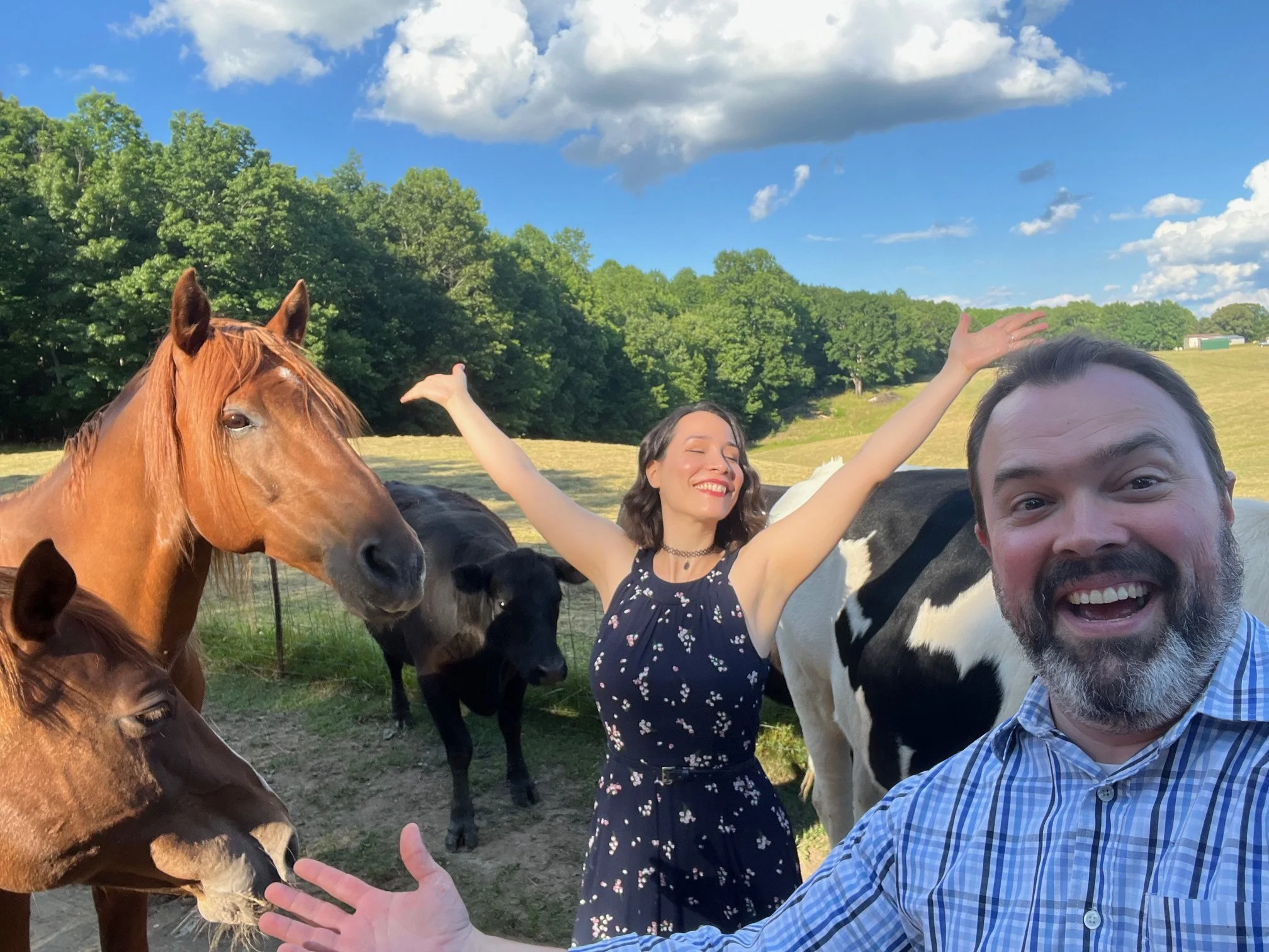  Reveling in animals 