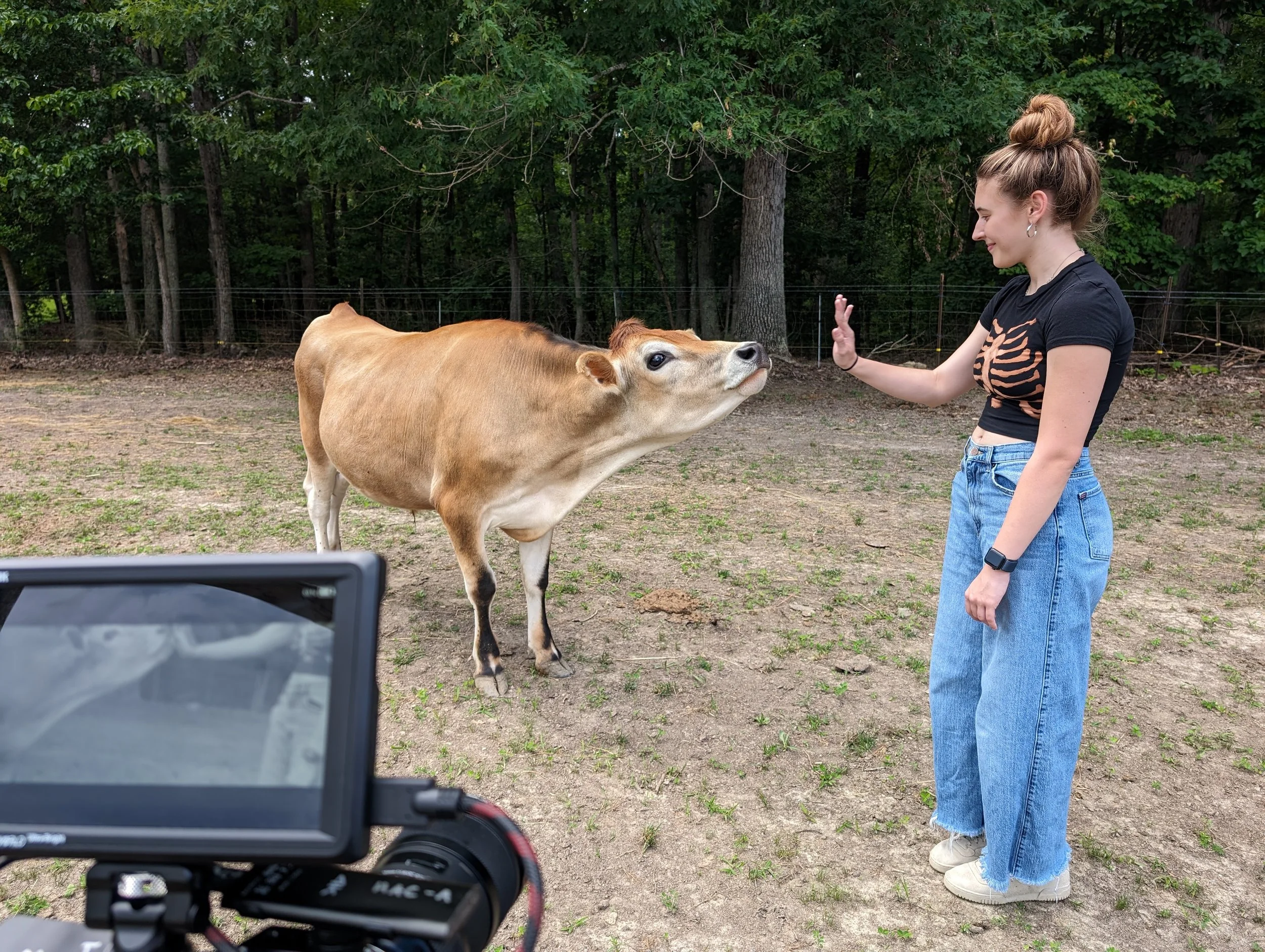  Lauren makes a friend 