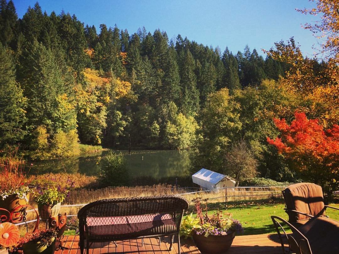 H&E outside patio overlooking pond.jpeg