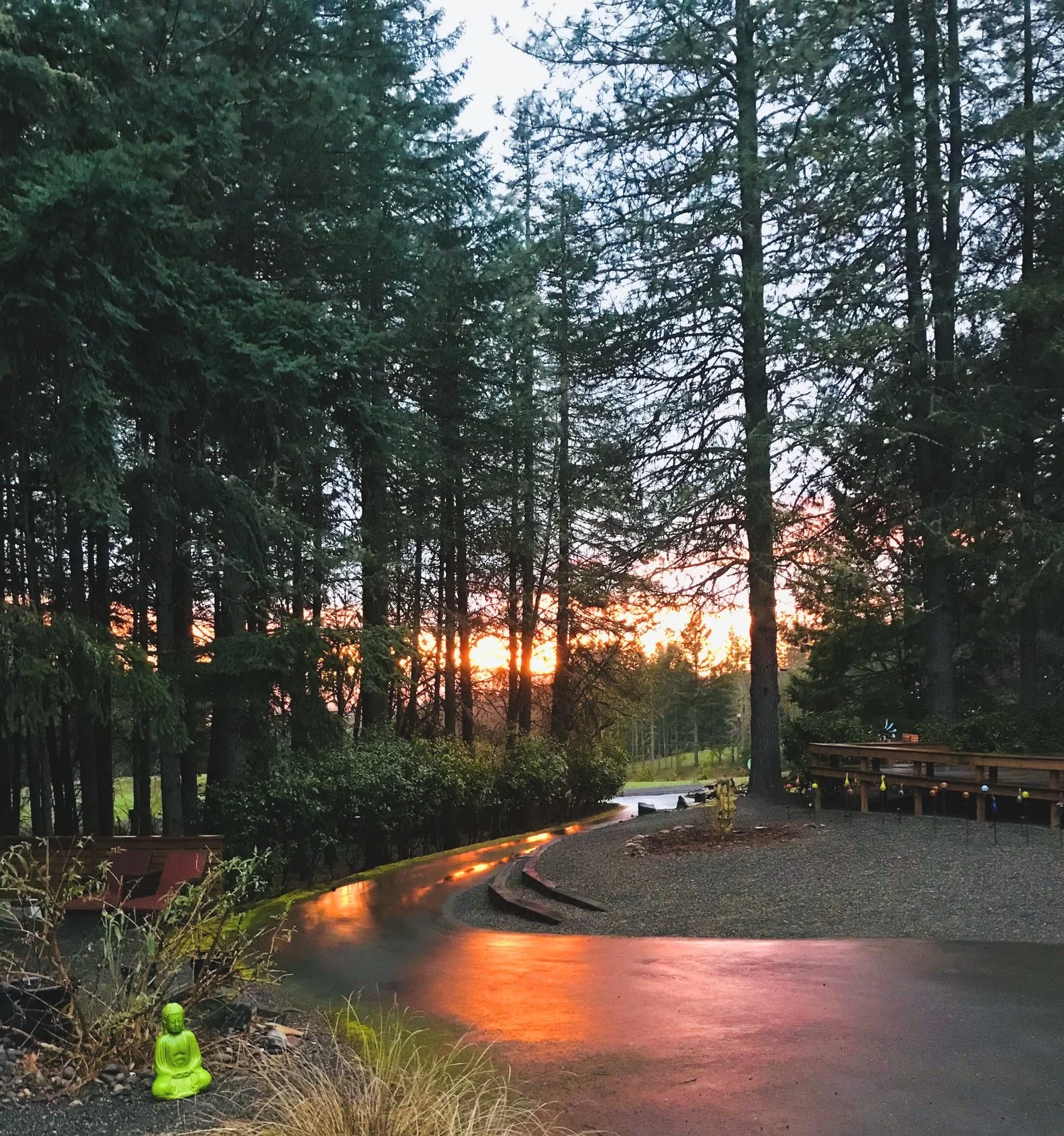 H&E road at dawn.jpg
