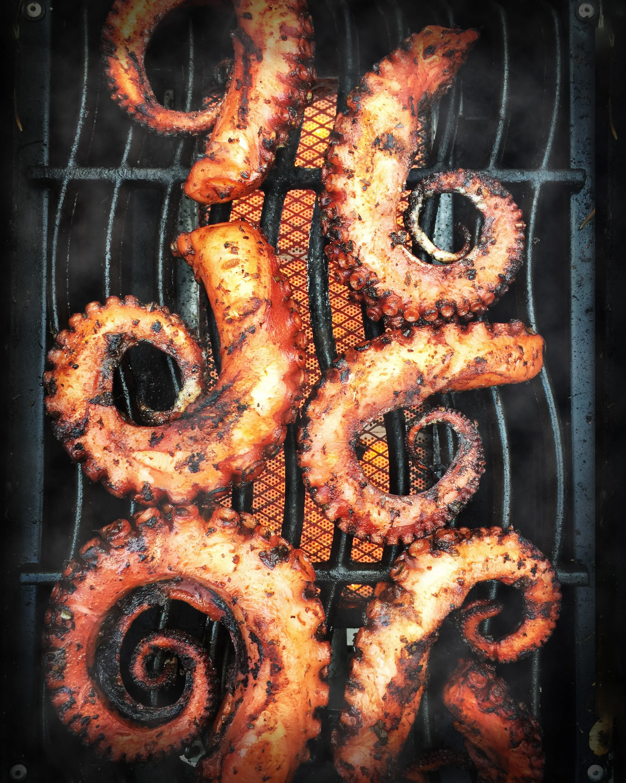 Grilled octopus
