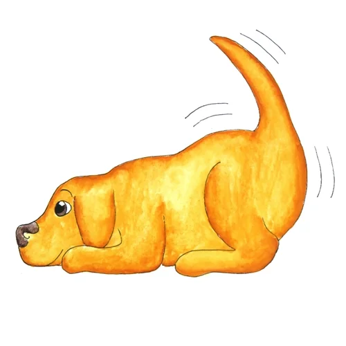 Puppy.png