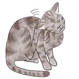 Cat Itch.jpg