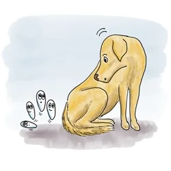 tapeworm 250.jpg