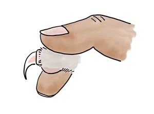 Gently extending a cat nail