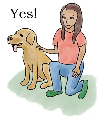 how to pet a dog.jpg
