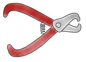 How to Clip Dog Nails — Dr. Chuck Books