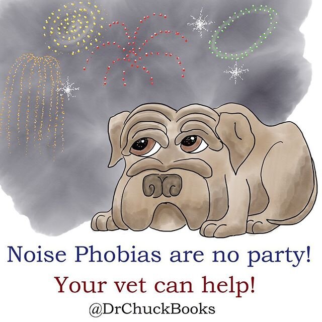 Is your dog afraid of thunderstorms and fireworks? Talk to your vet about ways to help their noise phobia! #fireworkseason #noisephobia #caninenoisephobia #thunderstormanxiety