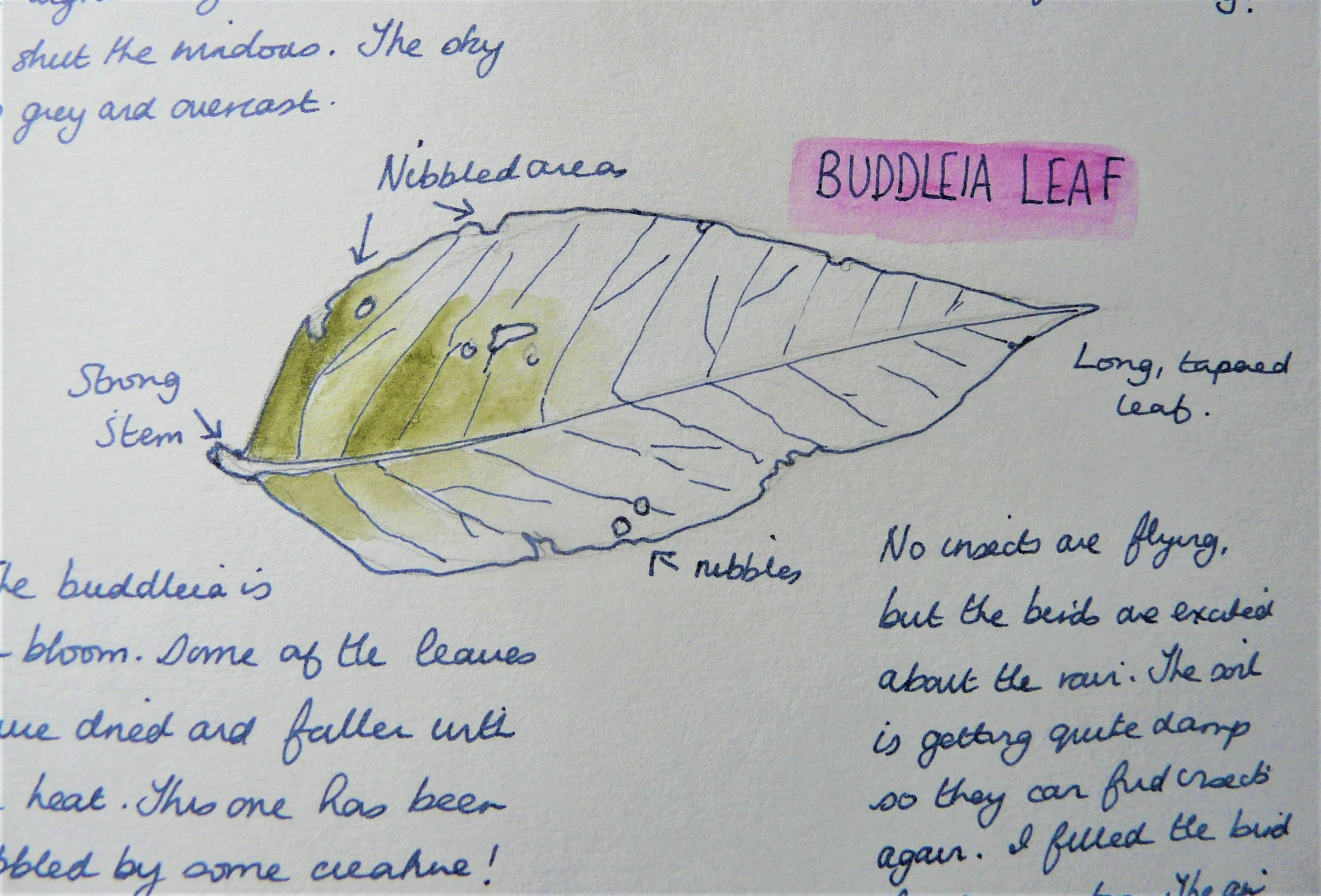 Small Steps to Sketching