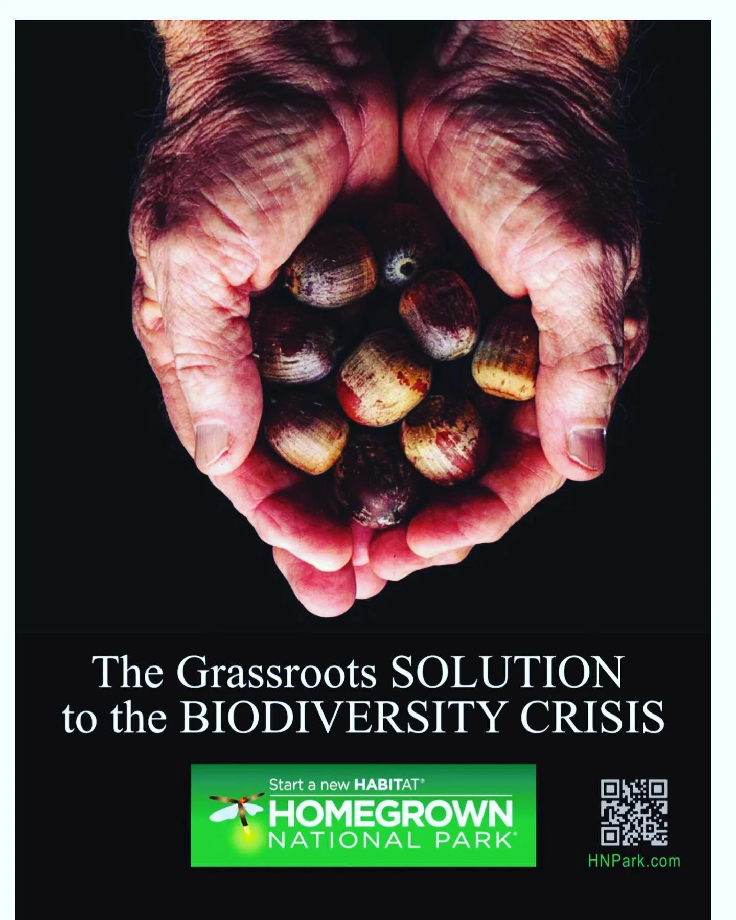 Gallery — Copake Grange