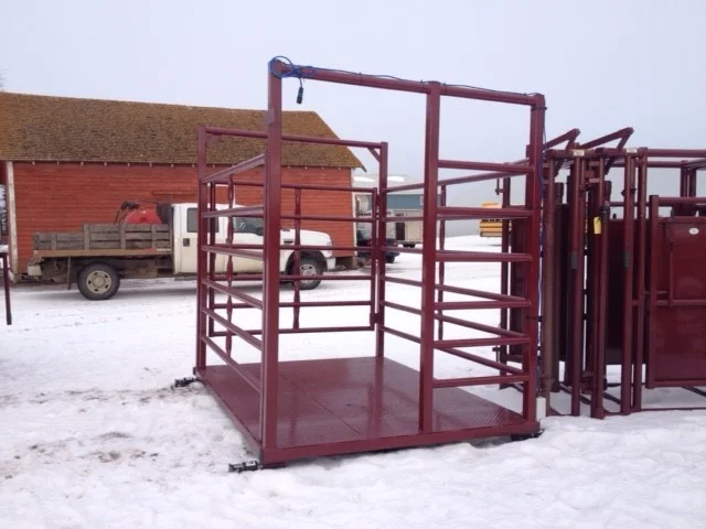6x8 scale cage.jpg