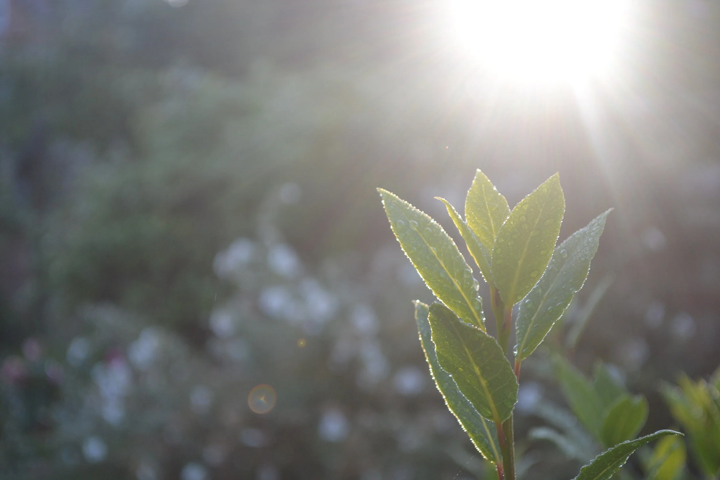 Guest Blog: Rachael Horn, Headteacher - Mount Street Academy