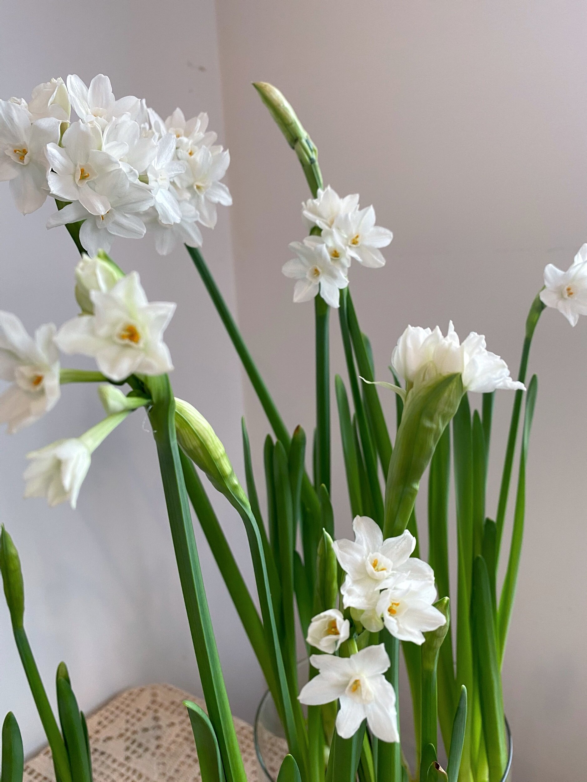 48610F54-8621-4760-9915-1AEA60FAE2B9