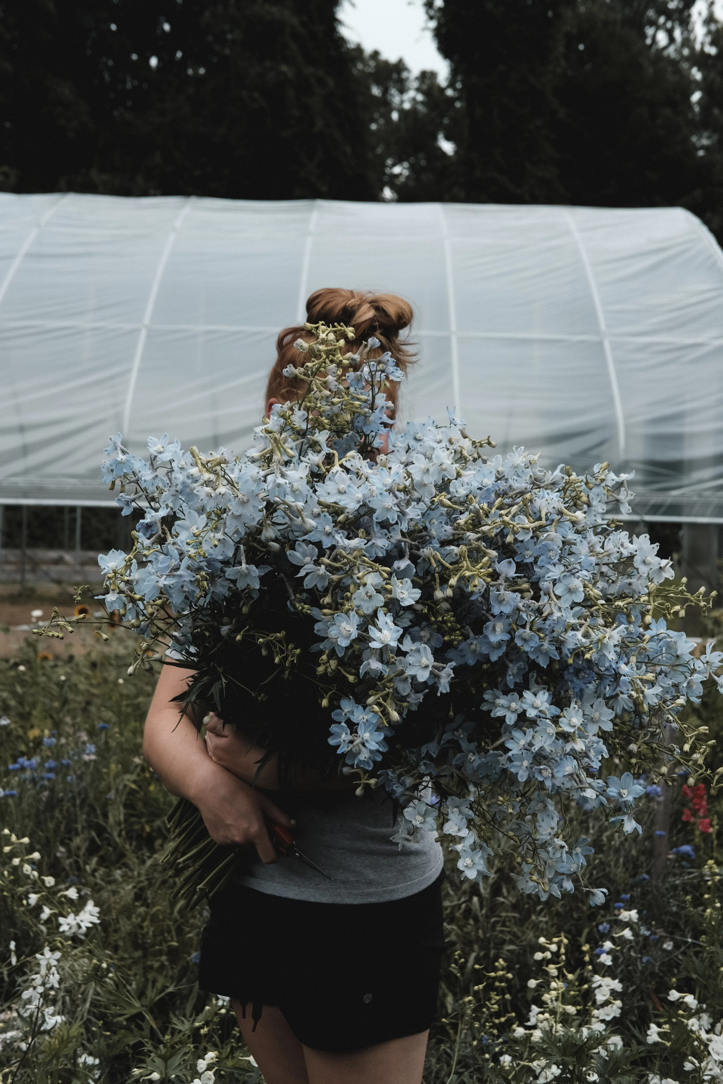 A Flower Shop Blossoms in Downtown Northampton