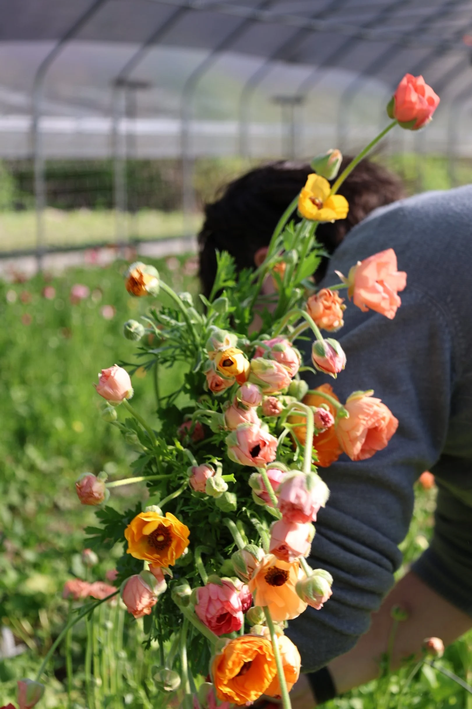 Mother's Day | The Flower Subscription