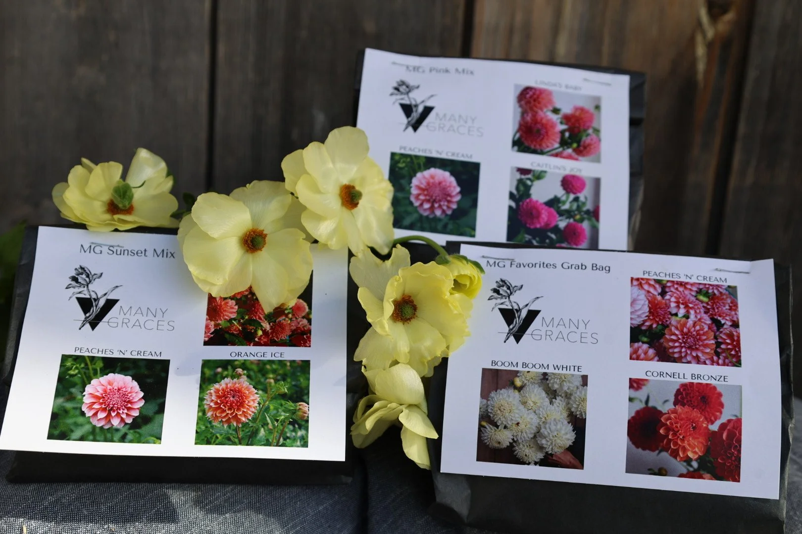 Mother's Day  | The Field & Garden Dahlia Set