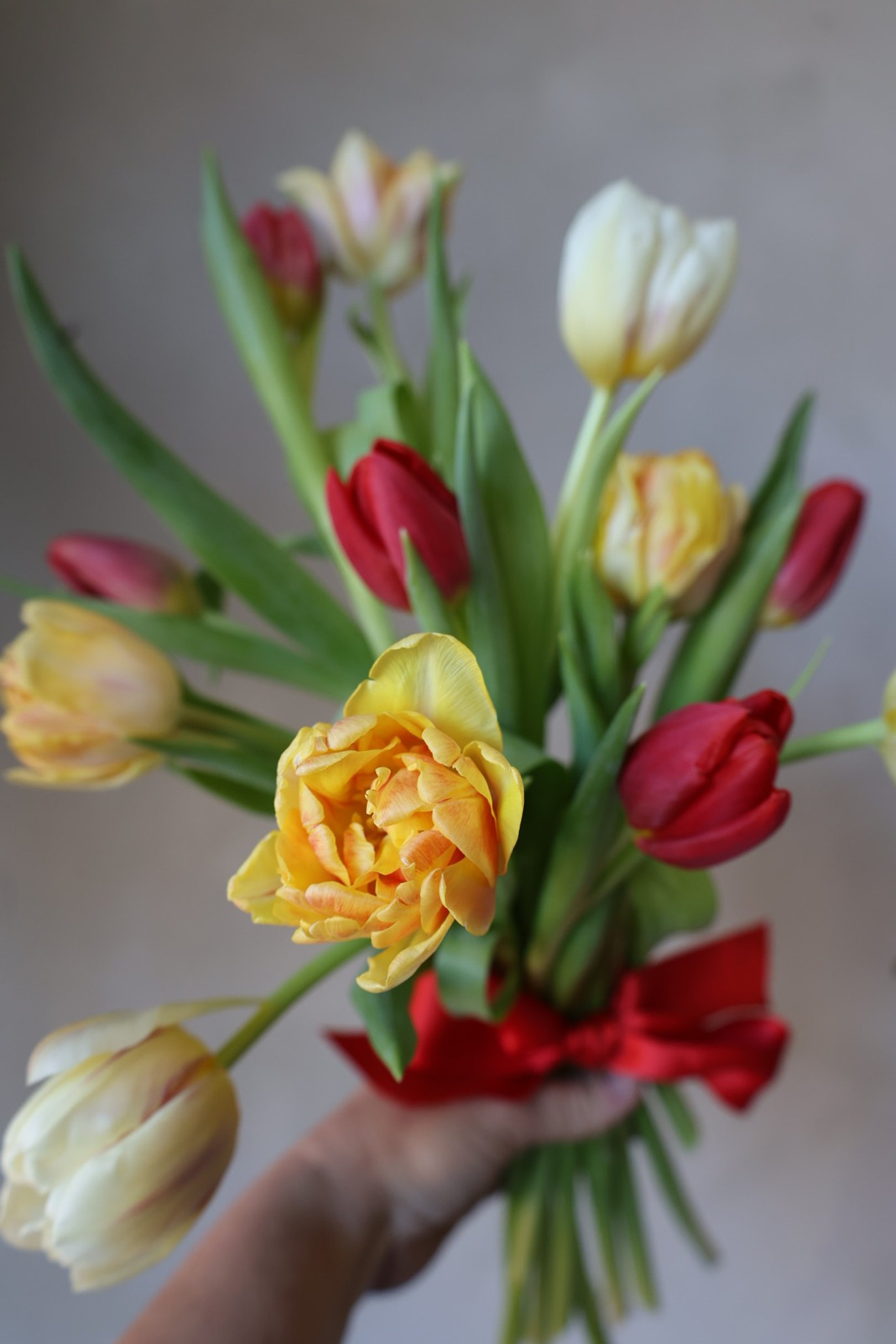 Valentine's Collection | Local Tulip Bundle