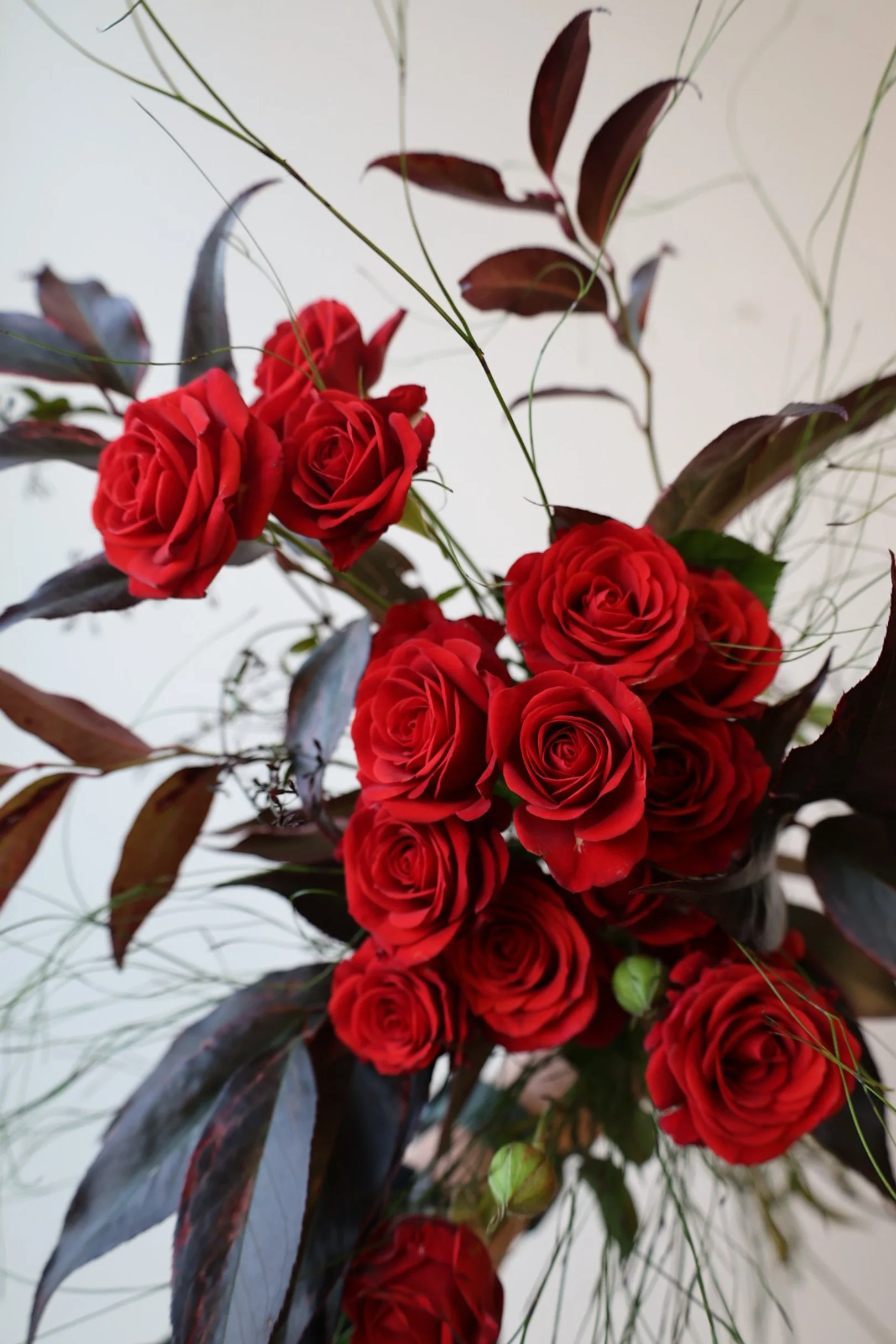 Valentine's Collection |  The Rose Bouquet