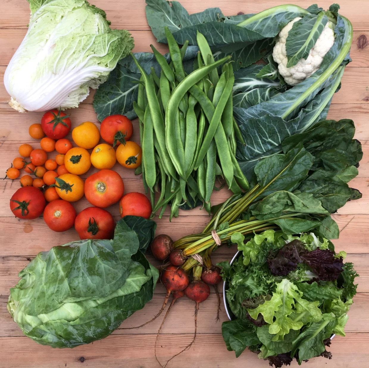 A medium size share in summer