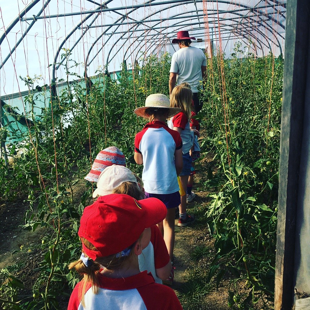 Brownies visiting the farm