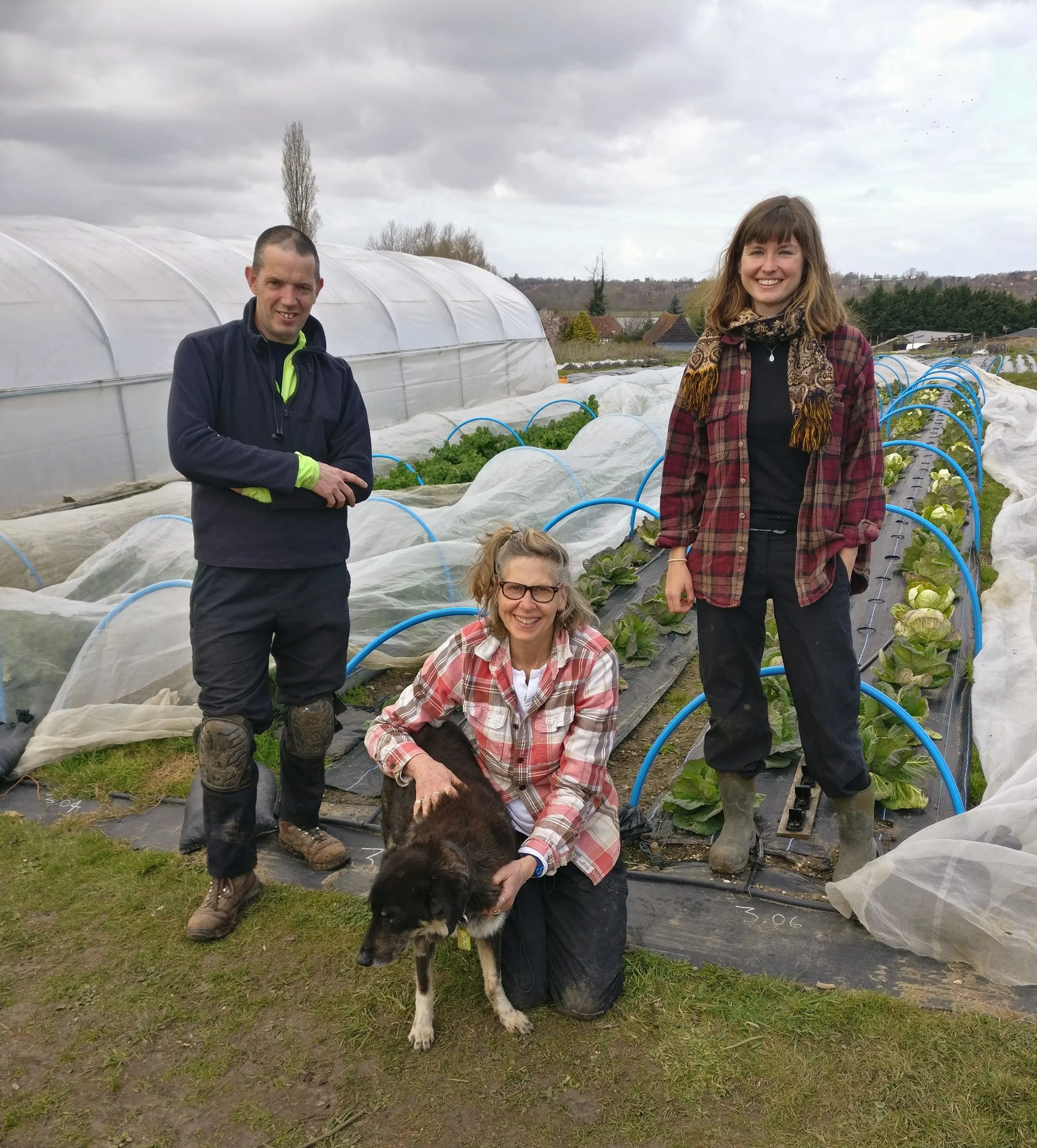 about us — Farnham Community Farm