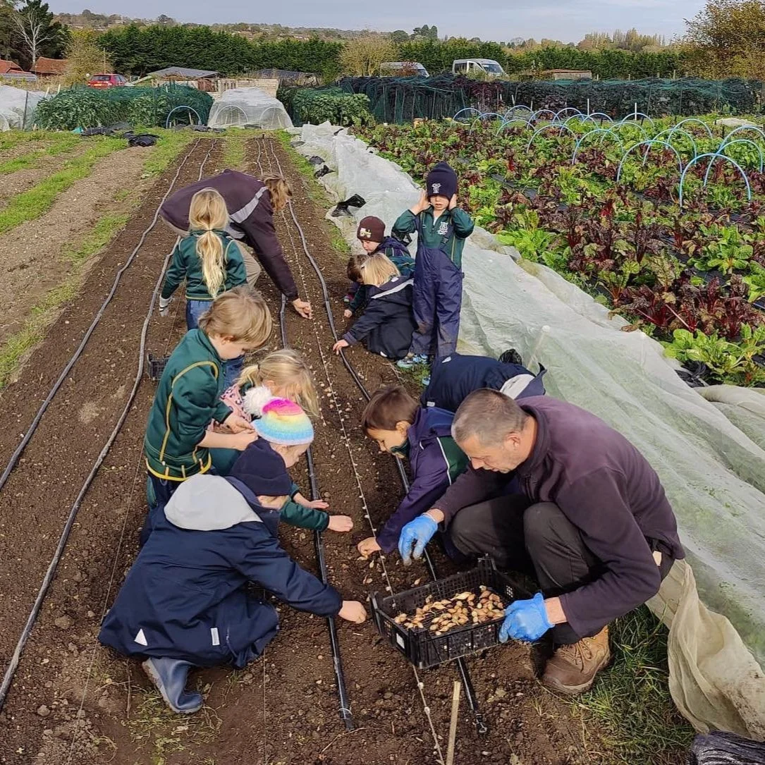 Farnham Community Farm