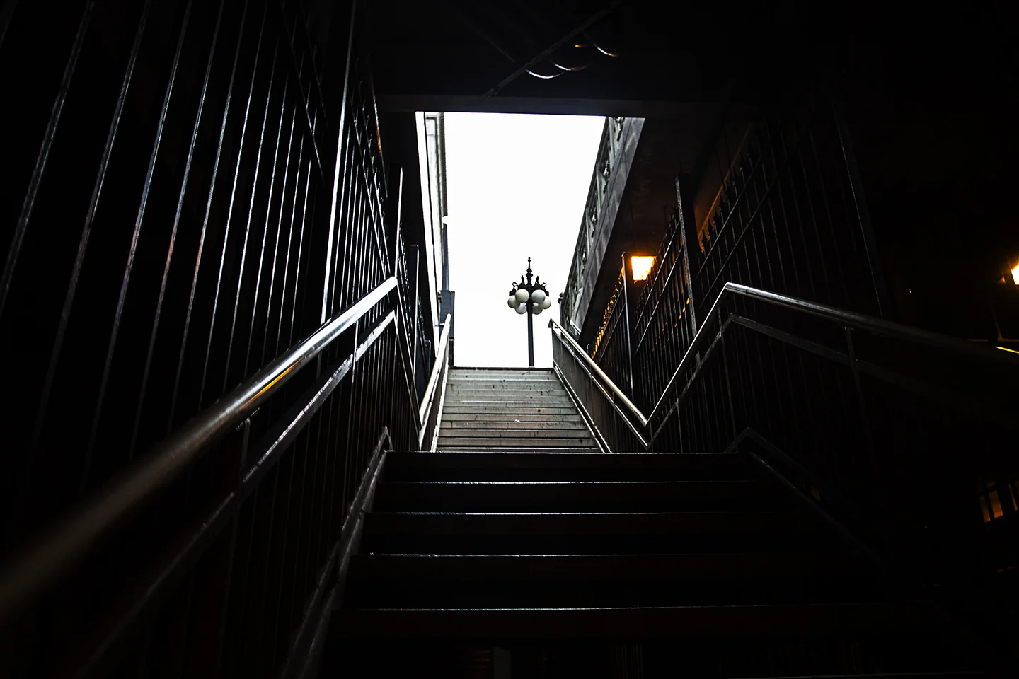 Nick Haas Photography Chicago, IL
