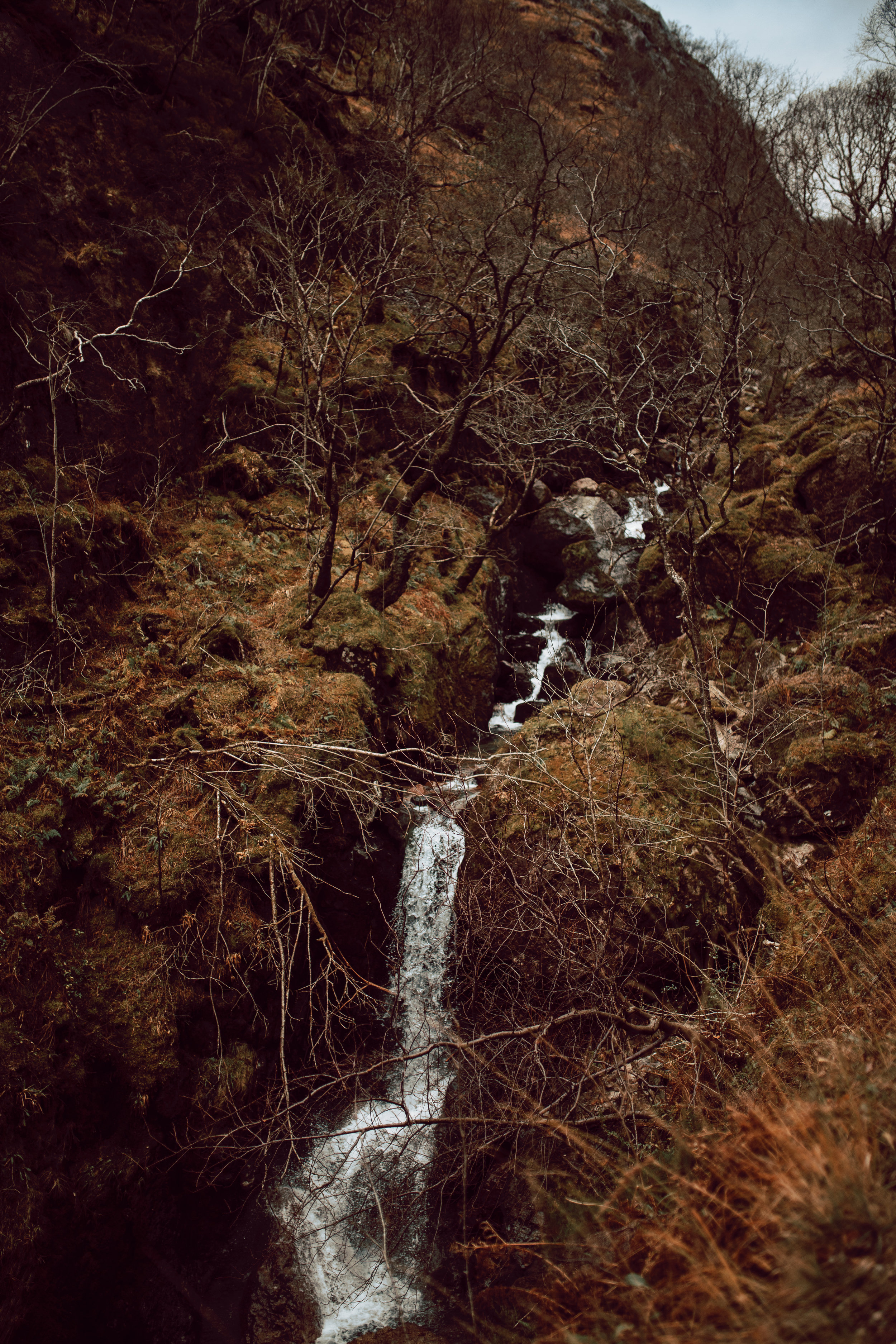 ScotlandPhotographer20.jpg