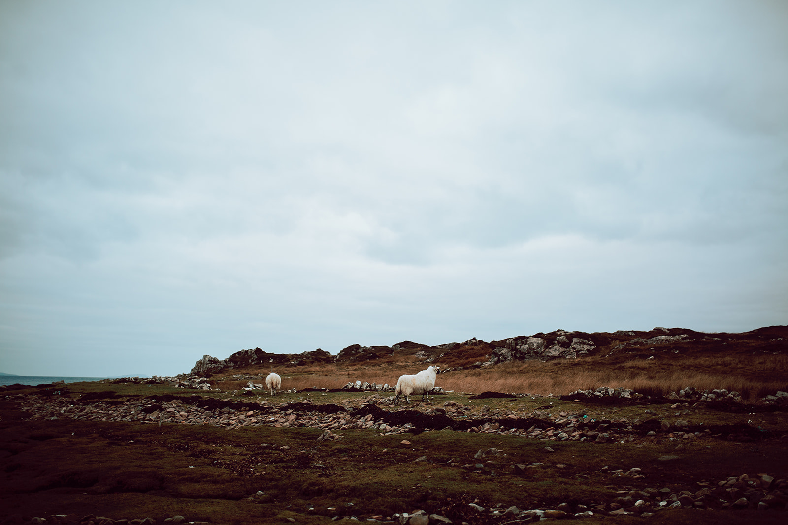 ScotlandPhotographer222.jpg