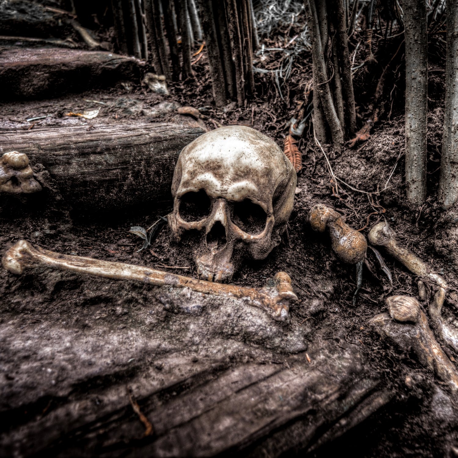How to Save a Life Write a story using the first line: To save his own life, he would have to...