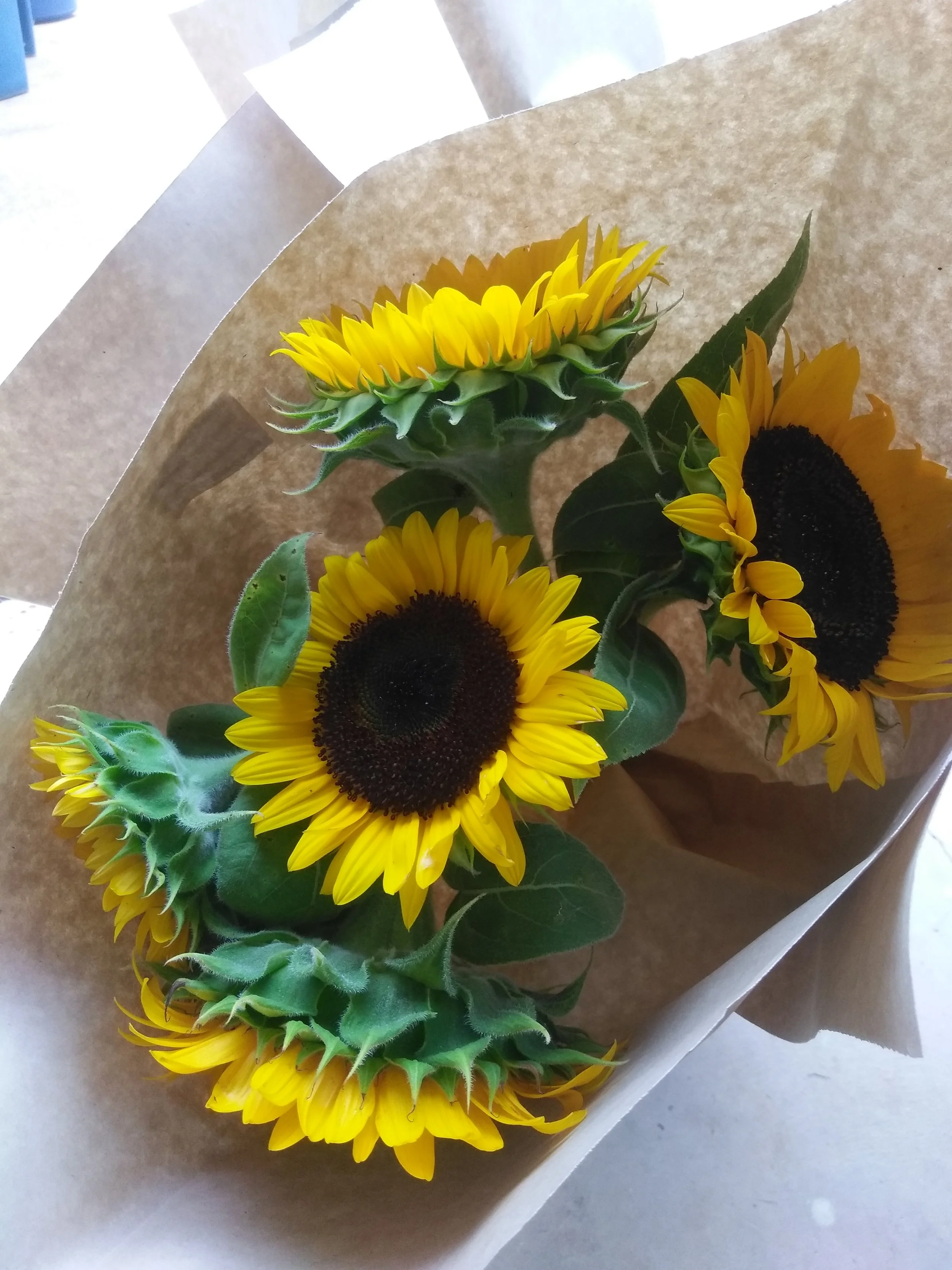 Sunflower bunch