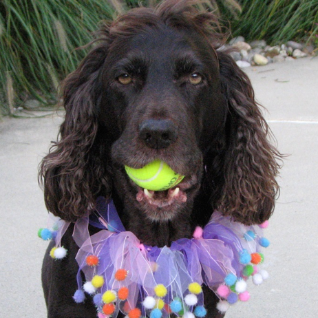 Roxy — Yes, THE Roxy!