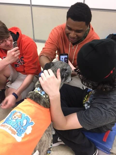 12799080_1023688467698461_8335170521640958046_n.jpg