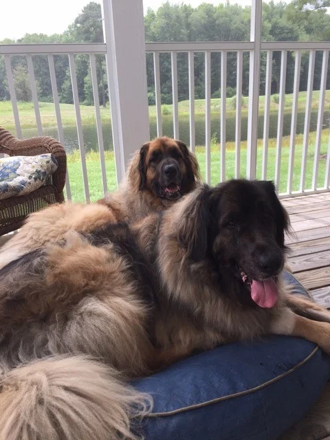Kylie and Hallie