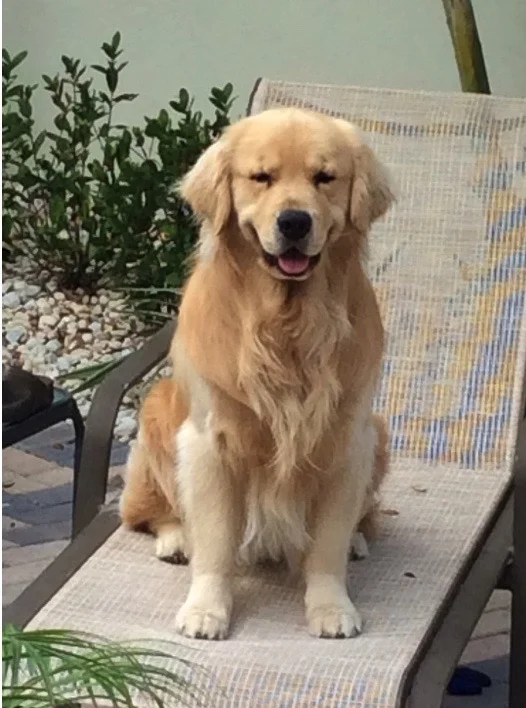 Cooper S.