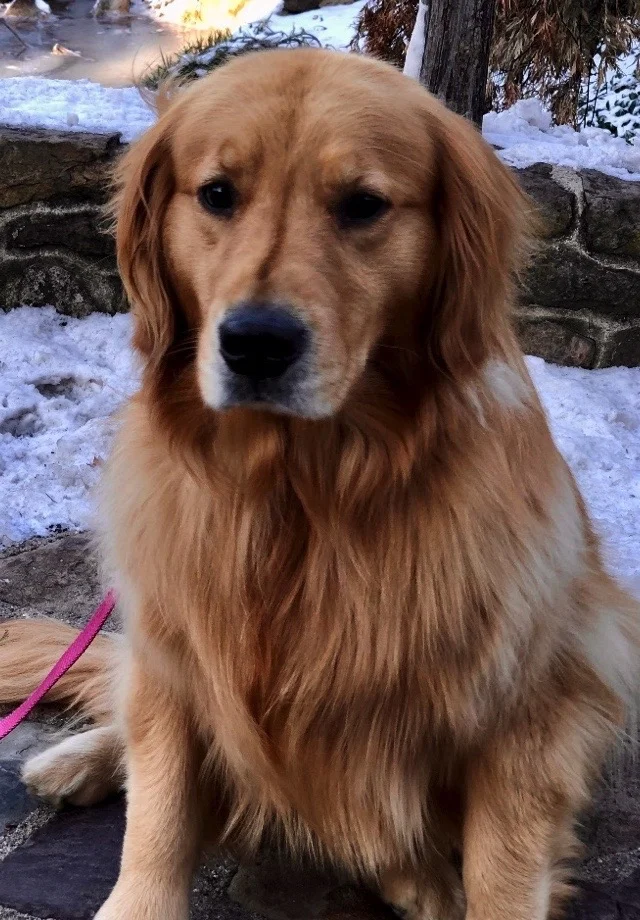 Zoey B.