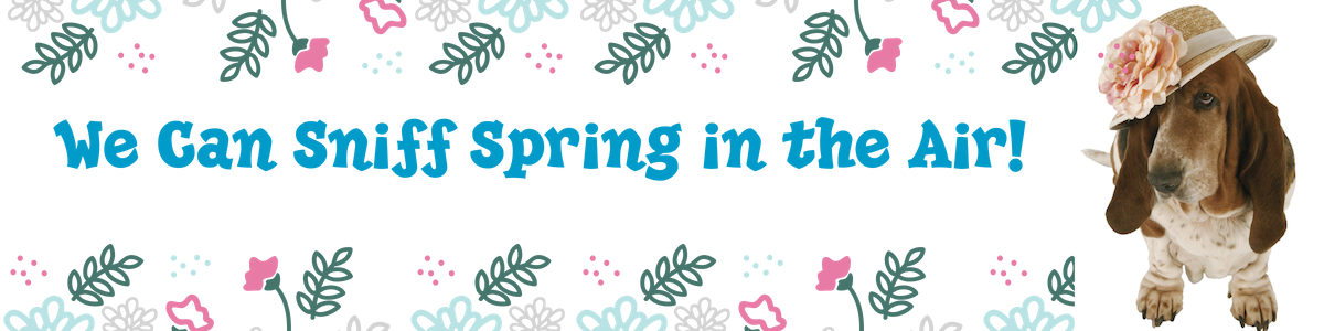 Banner for March 2019.png